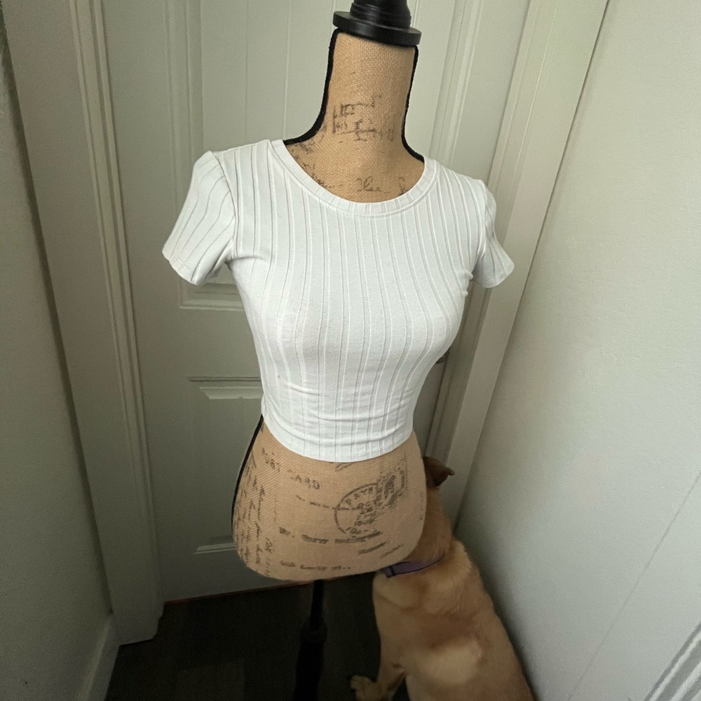 Bozzolo White Ribbed Crop Top